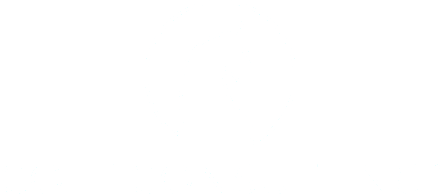 Colt Consulting Logo